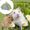 Small Animal Carry Case for Hamsters, Squirrels and Hedgehogs view 3