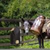 Hay Feeder Bag view 4