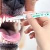 Dog Dental Cleaning Gel | Natural Freshener for Dogs and Cats view 2