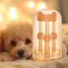 Dog Toothbrushes, 3-Pack for Tongue and Teeth Cleaning view 3