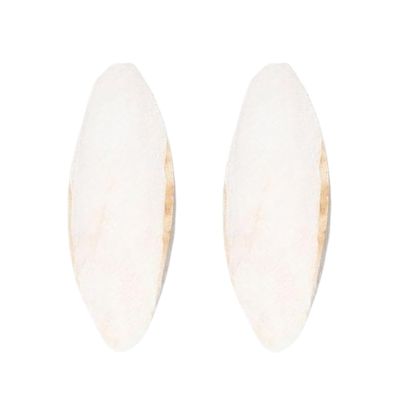 Cuttlebone for Turtles, 2 Pieces
