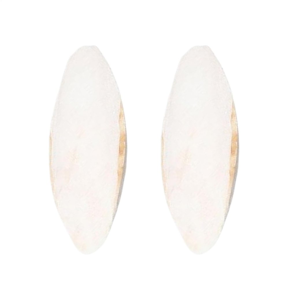 Cuttlebone for Turtles, 2 Pieces