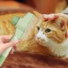 Ergonomic Pet De-Shedding Comb view 2