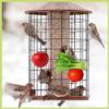 KEWUF 4-Pack Parakeet Feeders view 4