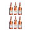 Jechtingen-Amoltern Spätburgunder Weißherbst Semi-Dry Rosé Wine, Germany, with FeinWert E-Book (6 x 1 L) view 1