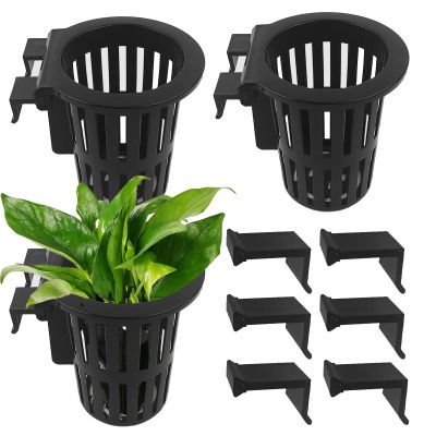 Generic Aquarium Plant Holder with Hooks and Suction Cups