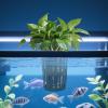 Generic Aquarium Plant Holder with Hooks and Suction Cups view 2