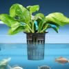 Generic Aquarium Plant Holder with Hooks and Suction Cups view 3