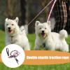 Dog Leash - Long-Pull Double Rope for Safer Walks view 2