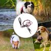 Dog Leash - Long-Pull Double Rope for Safer Walks view 4