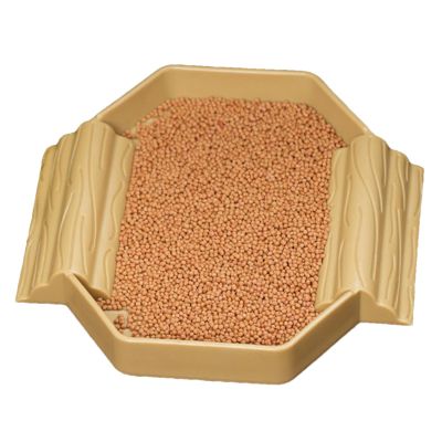 Turtle Feeding Bowl and Small Bath Basin for Reptiles