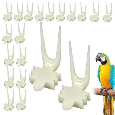 Bird Feeder - Versatile Tool for Small Birds and Pets
