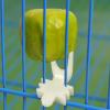 Bird Feeder - Versatile Tool for Small Birds and Pets view 2