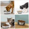 ifundom Stainless Steel Pet Bowl with Non-Slip TPR Base view 4