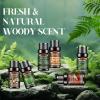 AESHORY Woodsy Essential Oil Set, 6 x 10 mL view 2