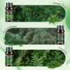 AESHORY Woodsy Essential Oil Set, 6 x 10 mL view 4