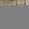 Automatic Bird Water Dispenser view 3