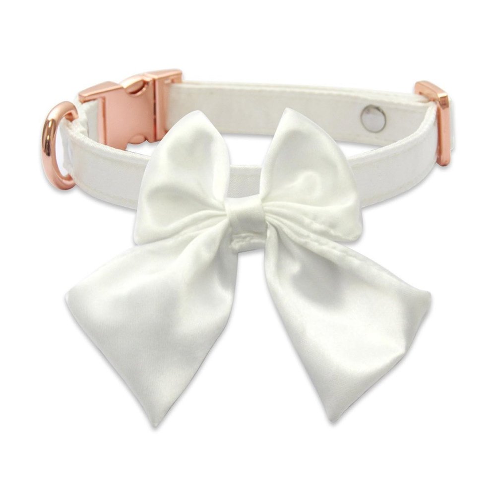 Adjustable Pet Collar for Dogs and Cats