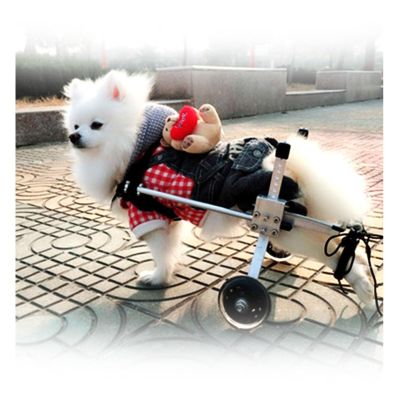 Small Dog Wheelchair for Rear Legs, Lightweight Aluminum Mobility Aid for Dogs and Cats (L)