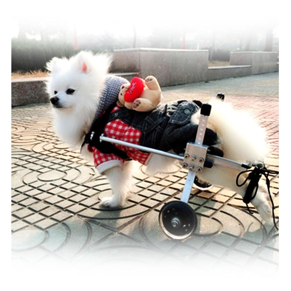 Small Dog Wheelchair for Rear Legs, Lightweight Aluminum Mobility Aid for Dogs and Cats (L)