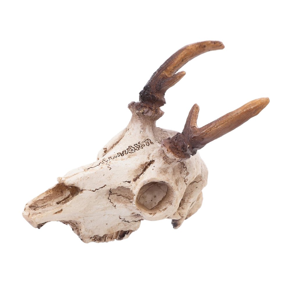 Toyvian Resin Moose Skull Reptile Hide and Climbing Decor, Medium