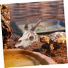Toyvian Resin Moose Skull Reptile Hide and Climbing Decor, Medium view 4
