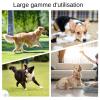 Generic Plush Dog Toy | Squeaky Toy in Realistic Soft Chew Design view 4