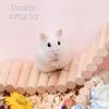 Hamster Climbing Bridge Toy view 3