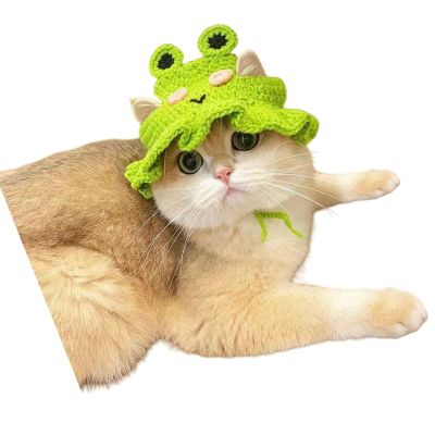 Cartoon Pet Hat for Dogs
