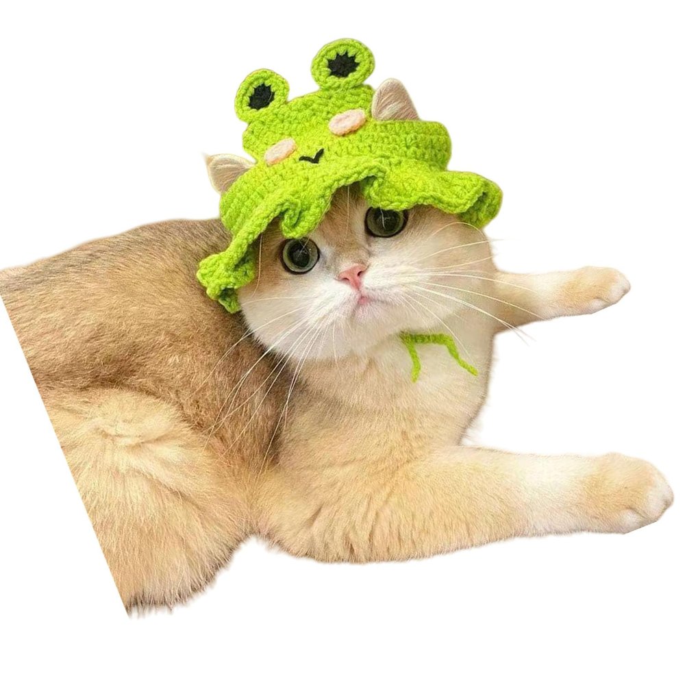 Cartoon Pet Hat for Dogs