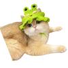 Cartoon Pet Hat for Dogs view 1