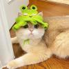 Cartoon Pet Hat for Dogs view 3