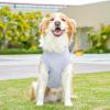 Breathable Cooling Vest for Dogs view 3