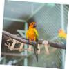 Milisten Bird Ladder Wooden Toy view 2