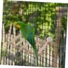Milisten Bird Ladder Wooden Toy view 3