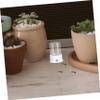 ifundom Ant Water Dispenser view 3