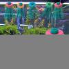 Fish Breeding Spawning Mop view 2