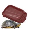 Telloo Reptile Feeding Bowl view 1