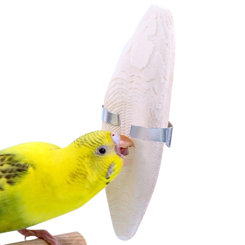 Cuttle Bone for Birds - Edible Calcium Block