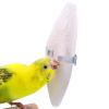Cuttle Bone for Birds - Edible Calcium Block view 1