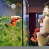 Floating Aquarium Decorations - Cute Diver Ornament view 3