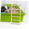 TOYANDONA Bird Perch Ladder for Parrots and Birds view 4