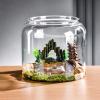 Box Habitat - Reptile Enclosure, Turtle Box | Waterproof, Large view 2