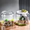 Box Habitat - Reptile Enclosure, Turtle Box | Waterproof, Large view 3
