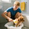 Dog Shampoo Brush - Puppy Wash Brush with Soap Dispenser for Travel, Pool, and Home view 2