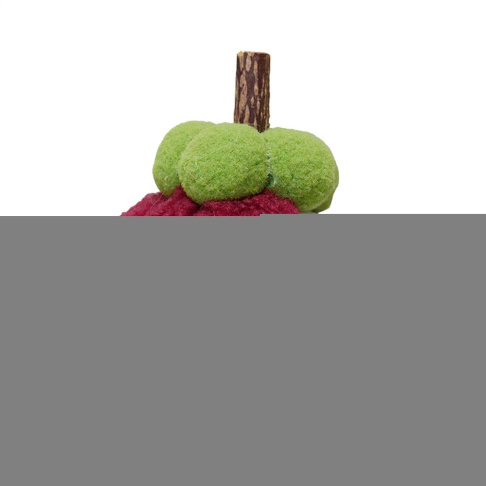 Catnip Toy - Fruit Cat Chew Toy