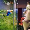 Floating Aquarium Decorations - Little Diver view 3