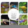 Floating Breeder Box for Aquarium view 4