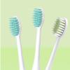 Replacement Electric Toothbrush Heads Compatible with Philips HX247C, HX247L, HX247M, HX2600, 3000, 3500, 3600, 3800, 8-Pack Green view 2