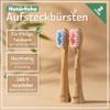 BAMBUNA Replacement Brush Heads Compatible with Philips Sonicare | Bamboo Toothbrush Heads | Medium | PLA Connector | Vegan | BPA-Free | Sustainable | 6-Pack | Blue/Pink view 2